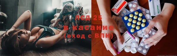 a pvp Алзамай