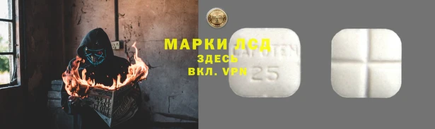 a pvp Алзамай