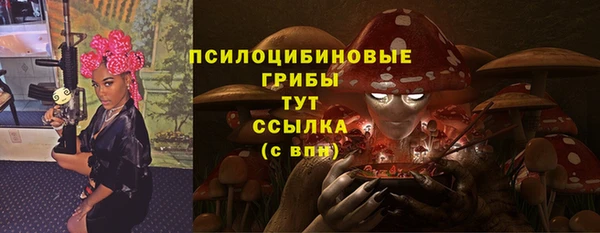 шишки Алексеевка